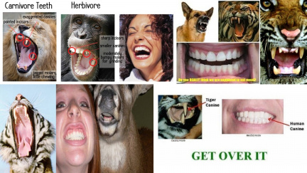 Humans-are-herbivores