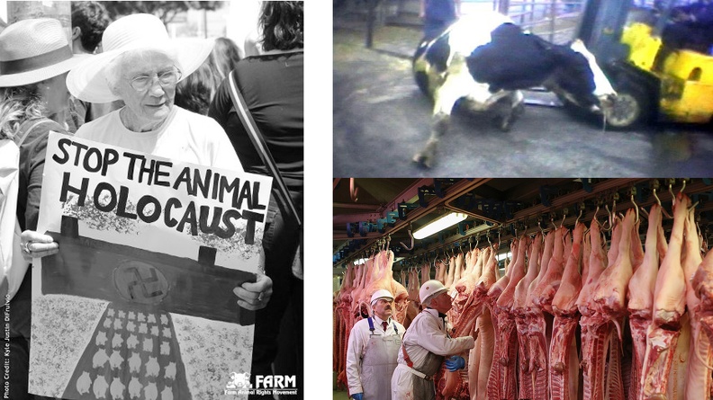 Stop-the-animal-holocaust.jpg