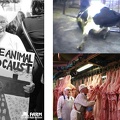 Stop-the-animal-holocaust