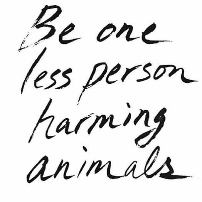 Be one less person harming animals